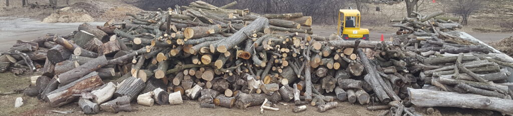 Logs from a lot clearing in Green Bay, WI