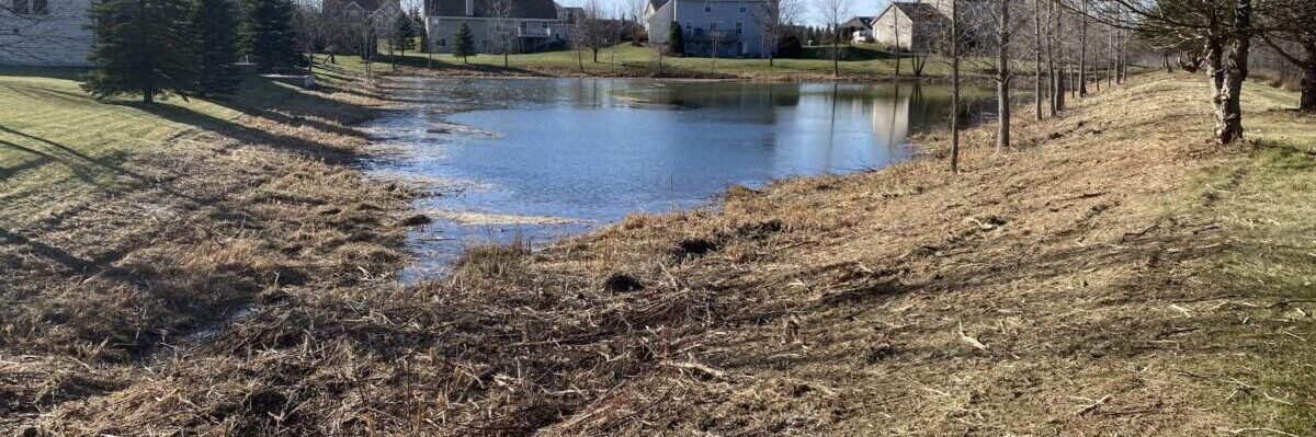 Green Bay, Fox Valley Pond and Vegetation Management Services