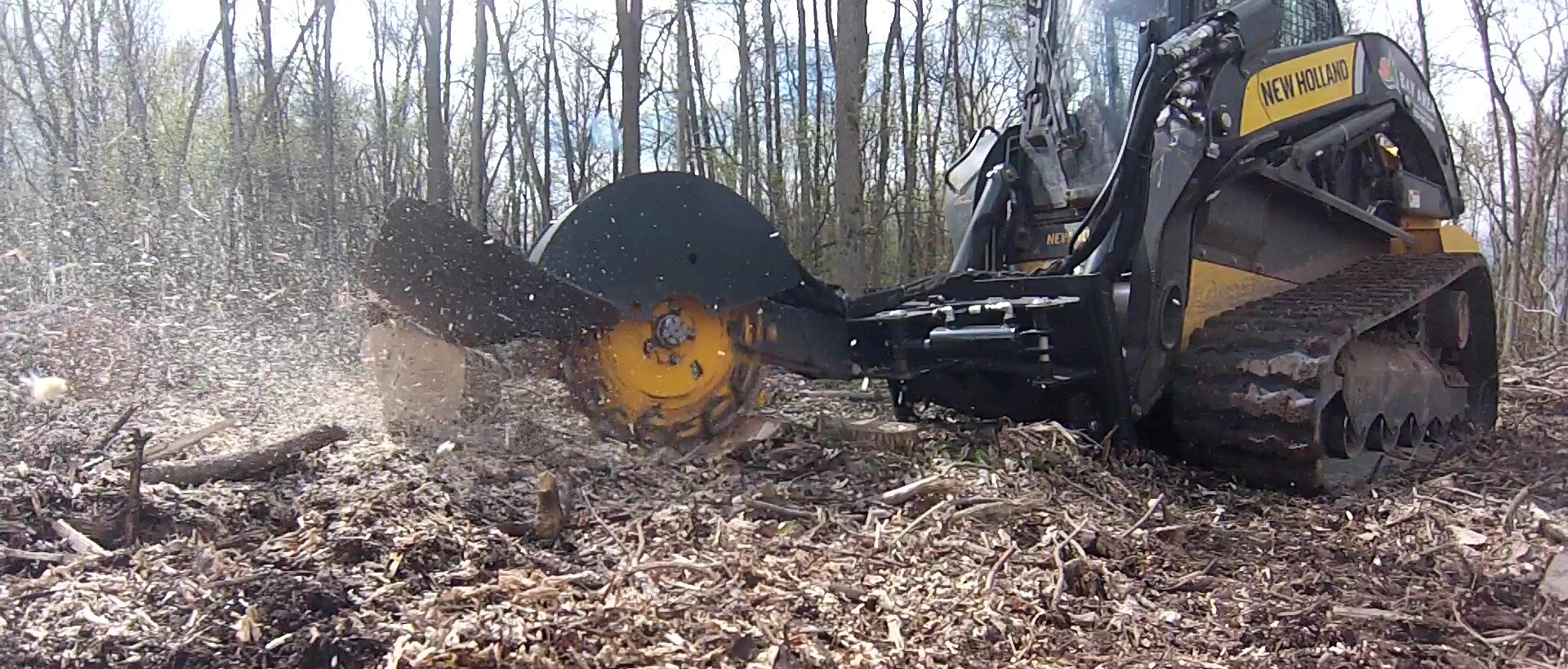 Green Bay and Northeast, WI Stump Grinding Service