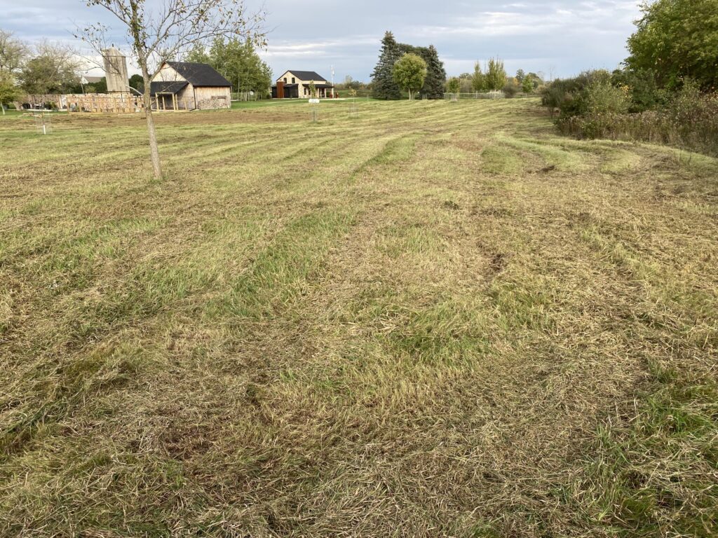 Northeast Wisconsin Field Mowing