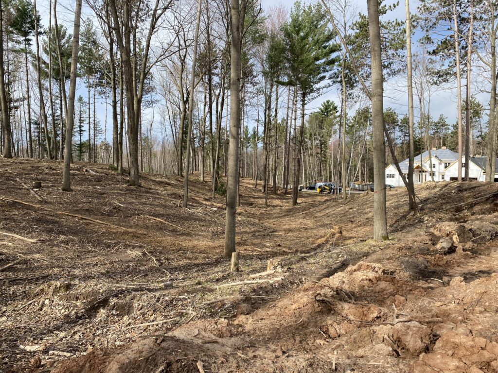Green Bay Wisconsin Lot Clearing