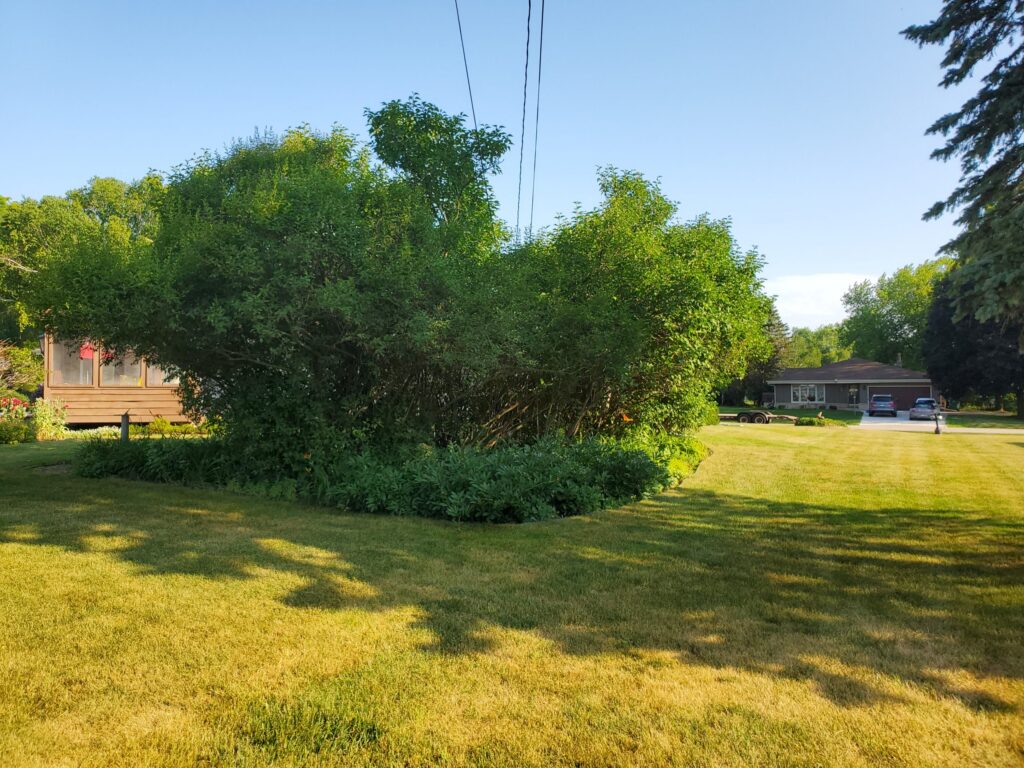 Green Bay WI Lawn Resurfacing