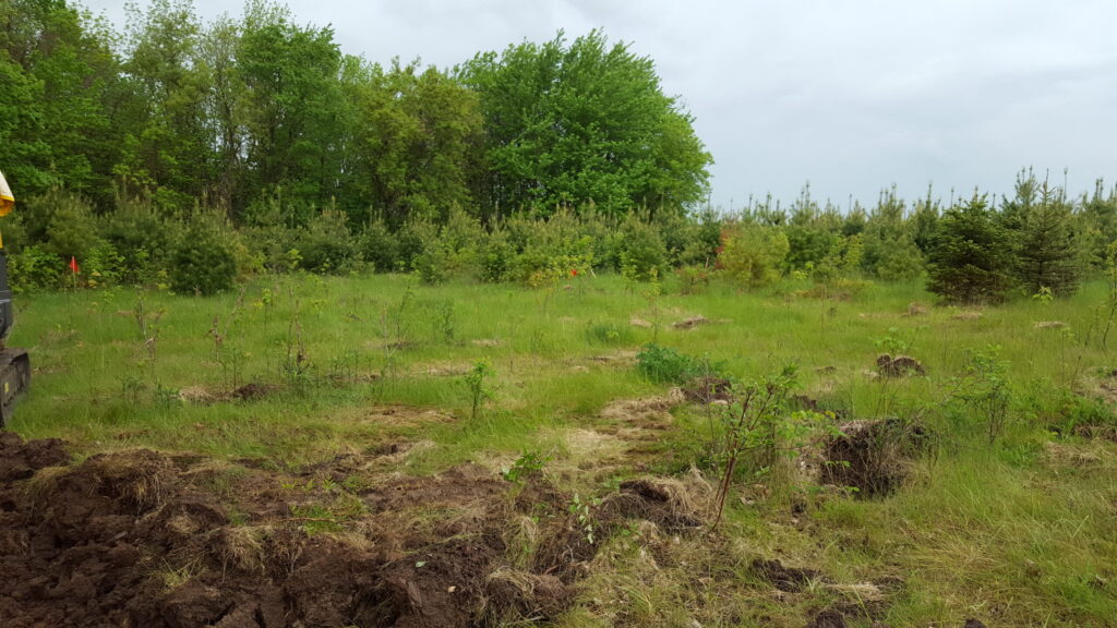 Northeast Wisconsin Land Clearing