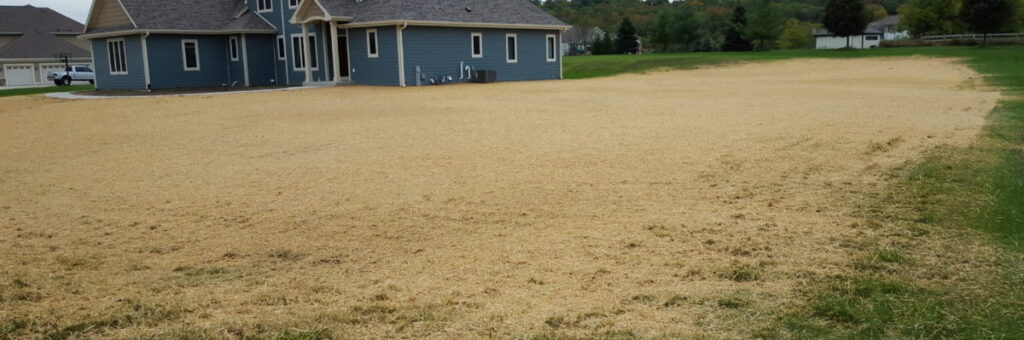 Northeast Wisconsin Lawn Repair and Installation